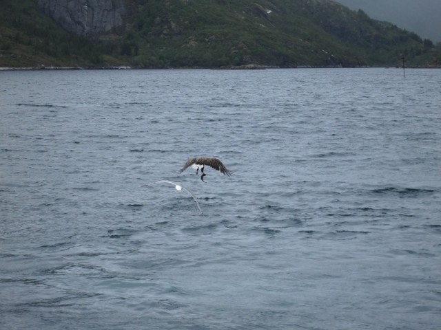 Hurtigruten_2015-06-25_16-39-5